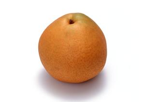 安心してホストとして働くのであれば